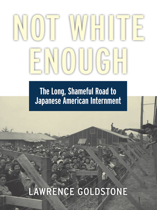 Title details for Not White Enough by Lawrence Goldstone - Available